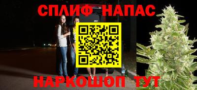 a pvp Будённовск